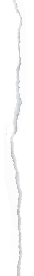 Ripped Paper Line Texture